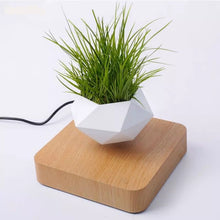 Load image into Gallery viewer, floating plant